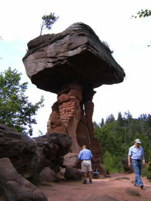Mittwoch, 10. bis Montag, 15.06.09. Frhjahrswanderung rund um Erfweiler.