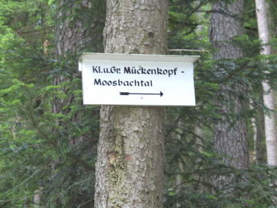 Mittwoch, 10. bis Montag, 15.06.09. Frhjahrswanderung rund um Erfweiler.