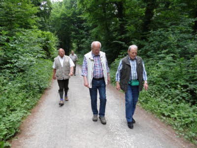 Fr�hjahrswanderung Juni 2013 rund um Bad Rothenfelde