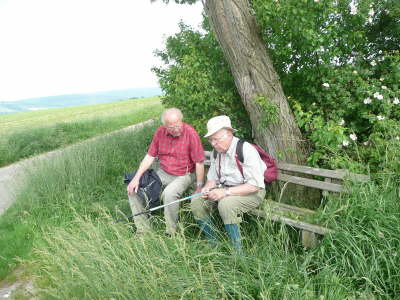 Frhsommerwanderung im Weserbergland vom 7. - 12. Juni 2010.