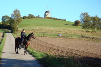 Mittwoch 14.10. - Montag 19.10.09. Herbstwanderung in und um Lemgo im Lipperland.