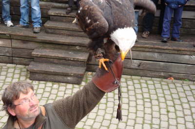 Mittwoch 14.10. - Montag 19.10.09. Herbstwanderung in und um Lemgo im Lipperland.