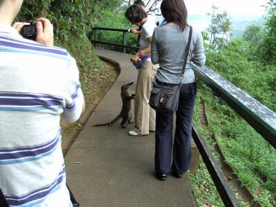 Montag, 17.09.07. Foz do Iguacu. Brasilien.