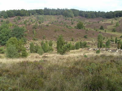 Dienstag, 16.09.08. Der Totengrund