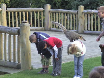 Mittwoch, 17.09.08. Wildpark Lneburger Heide.