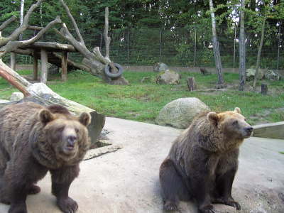 Mittwoch, 17.09.08. Wildpark Lneburger Heide.