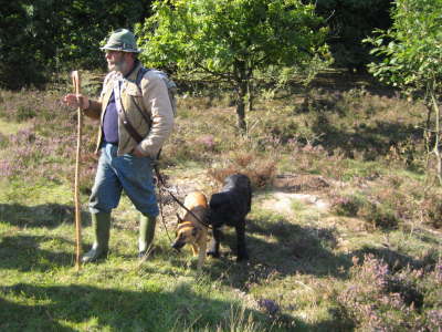 Donnerstag, 18.09.08. Auf der Heide.